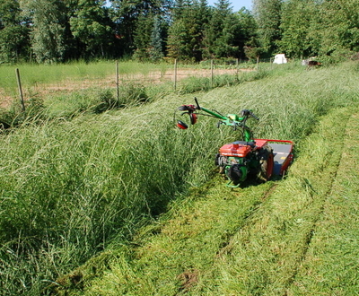 Agria 3600 egytengelyes traktorok