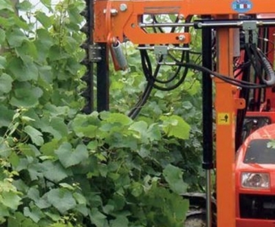 Rinieri alternáló késes szőlőcsonkázók