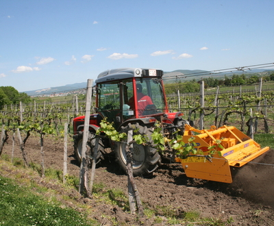 Selvatici Bivanga ásógépek