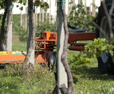 Rinieri Velox sorművelők szárzúzóval