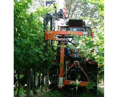 Rinieri alternáló késes szőlőcsonkázók