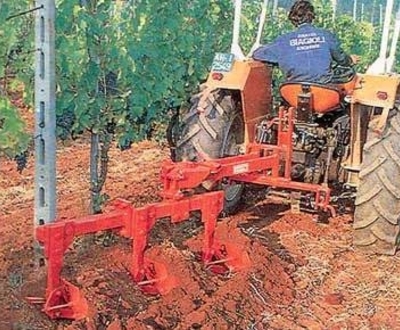 Aldo Biagioli ágyekék