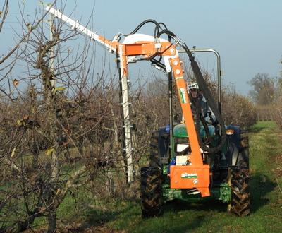 Rinieri ORP síkfalmetszők