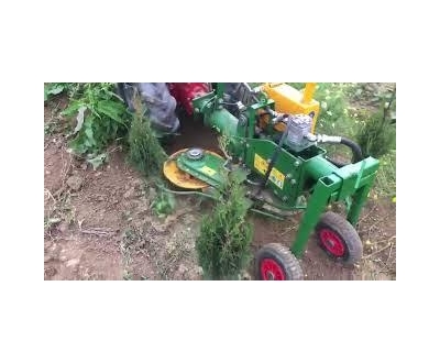 Carli soraljművelők